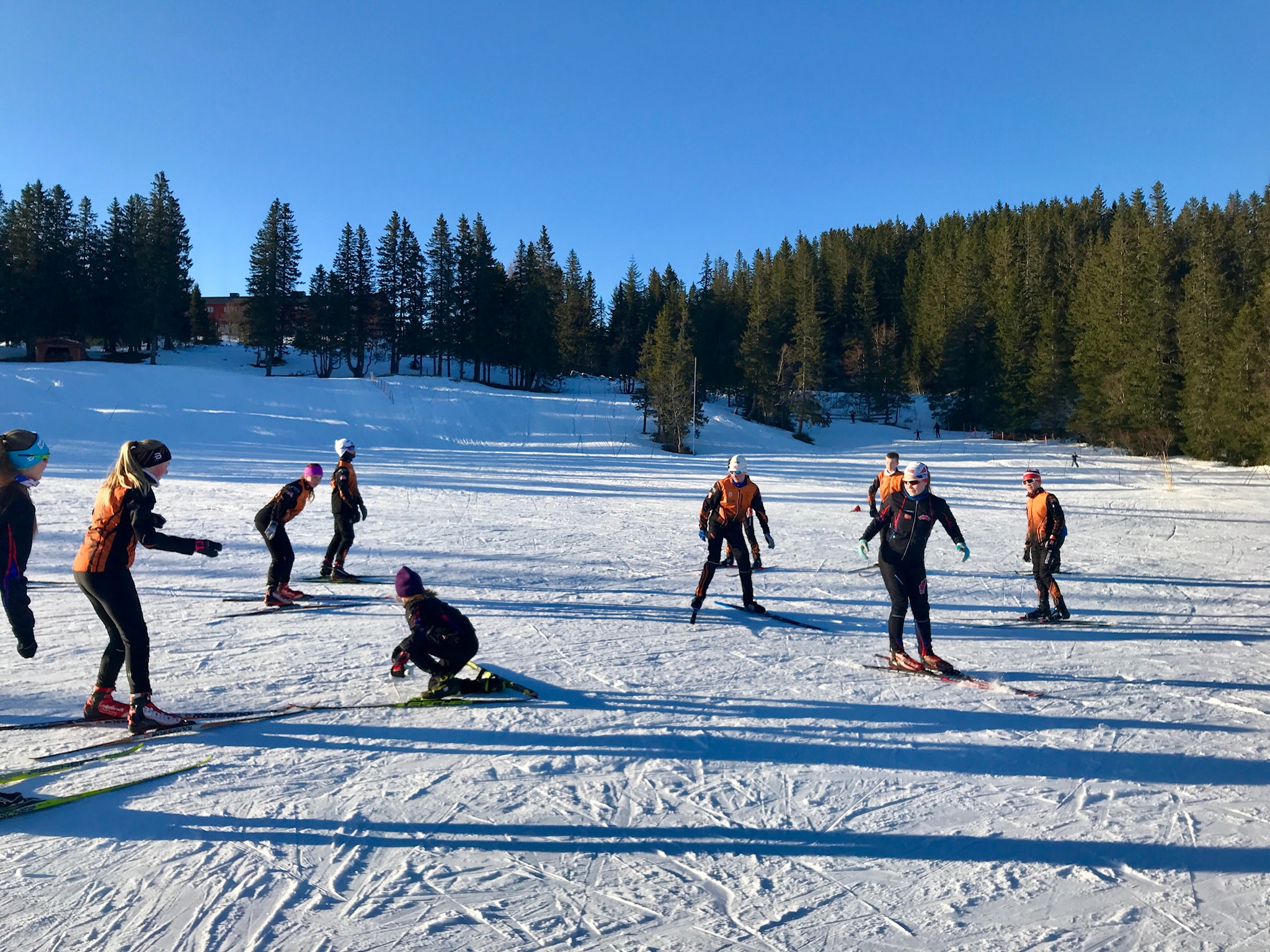 Aktivitetsavgift for skisesongen